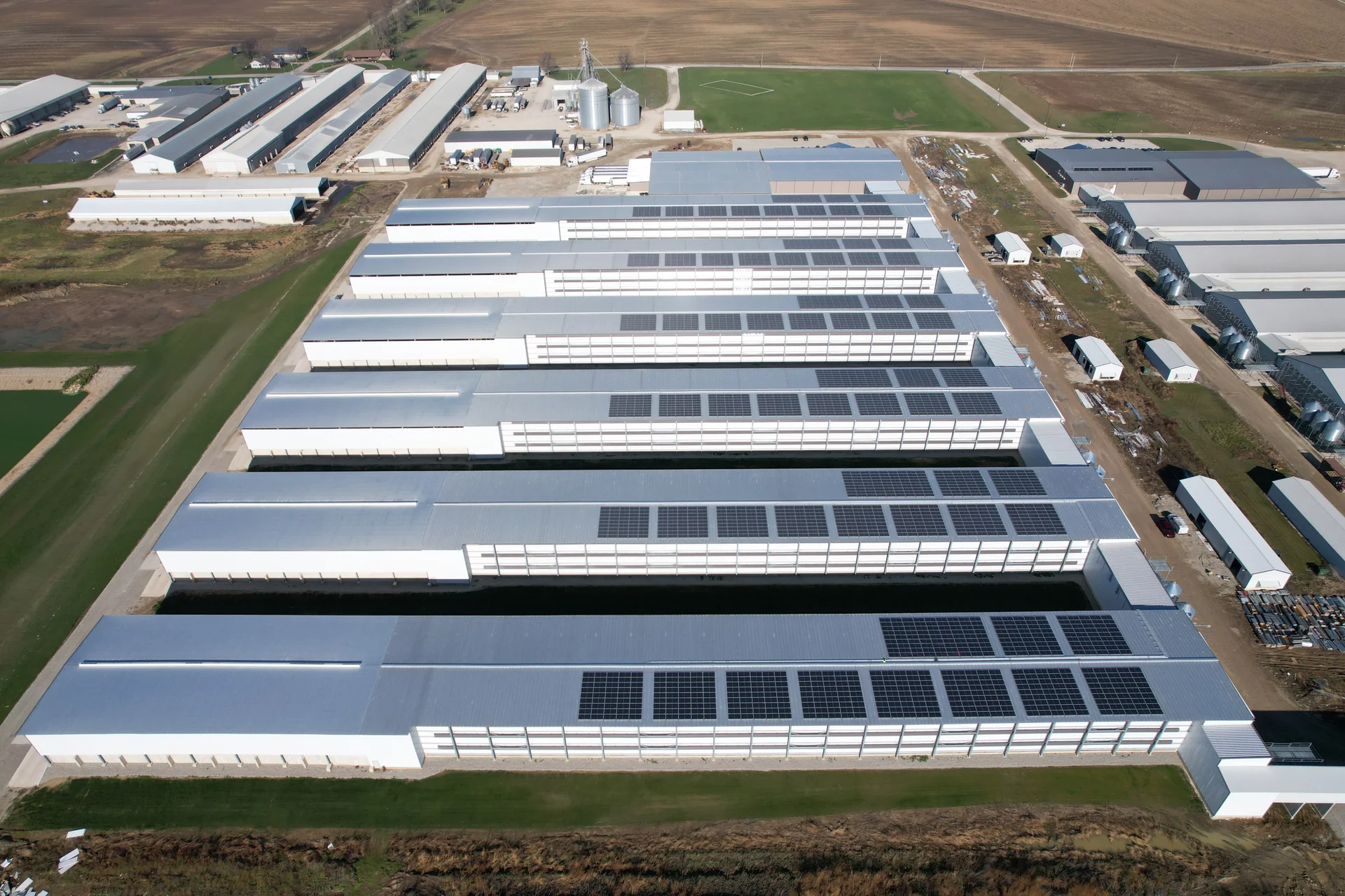 Rooftop solar over poultry barns